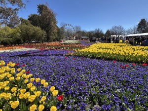 Floriade